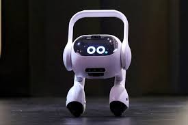 ROBOT